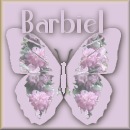 Barbiel's result # 2