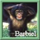 Barbiel is a Monkey