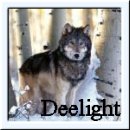 Deelight is a Wolf