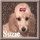 Suzie is a Dog